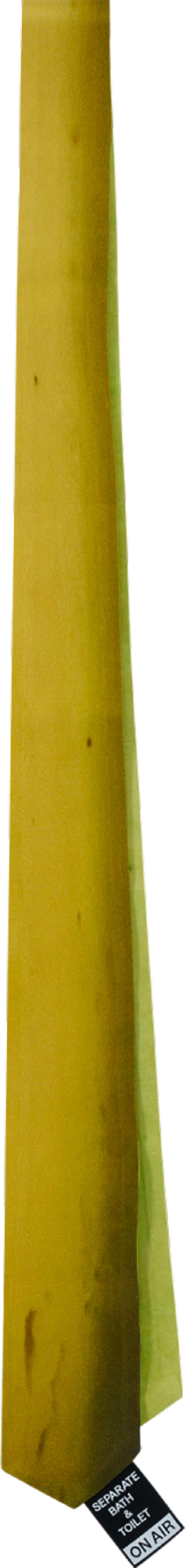 Banana Necktie - SEPARATE BATH & TOILET