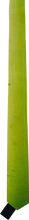 Load image into Gallery viewer, Banana Necktie - SEPARATE BATH &amp; TOILET
