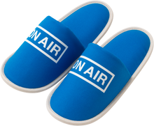 Load image into Gallery viewer, Basic Logo Room Shoes (Blue)
