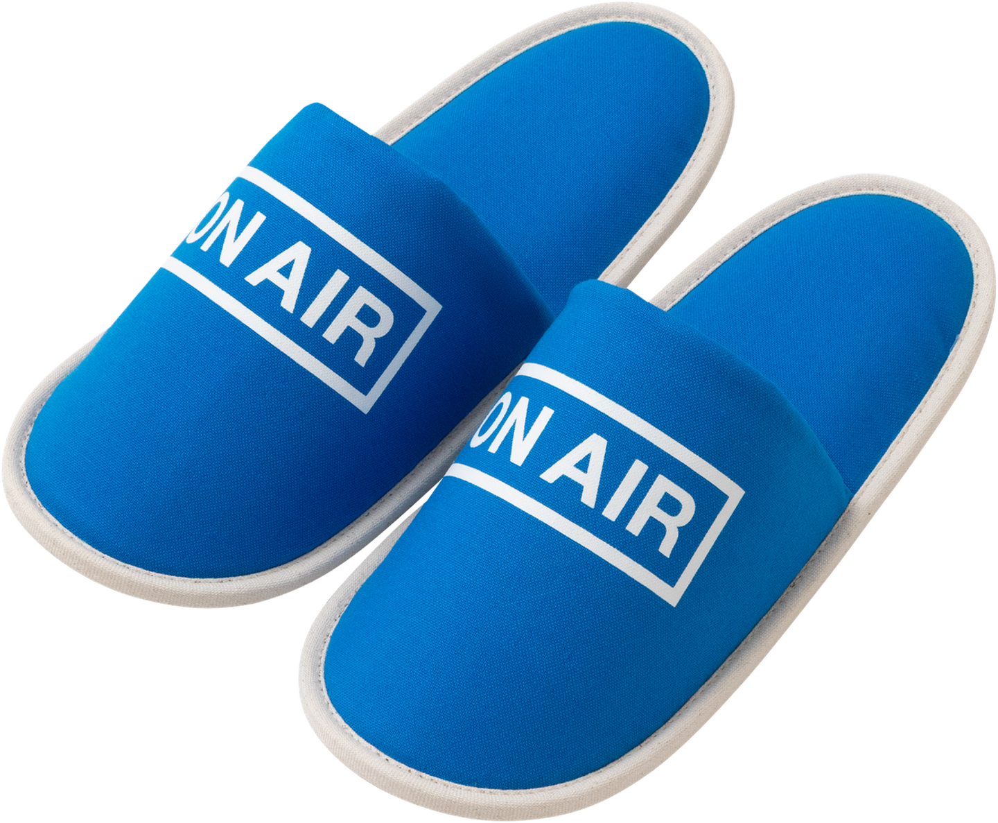 Basic Logo Room Shoes (Blue)