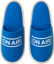 Load image into Gallery viewer, Basic Logo Room Shoes (Blue)
